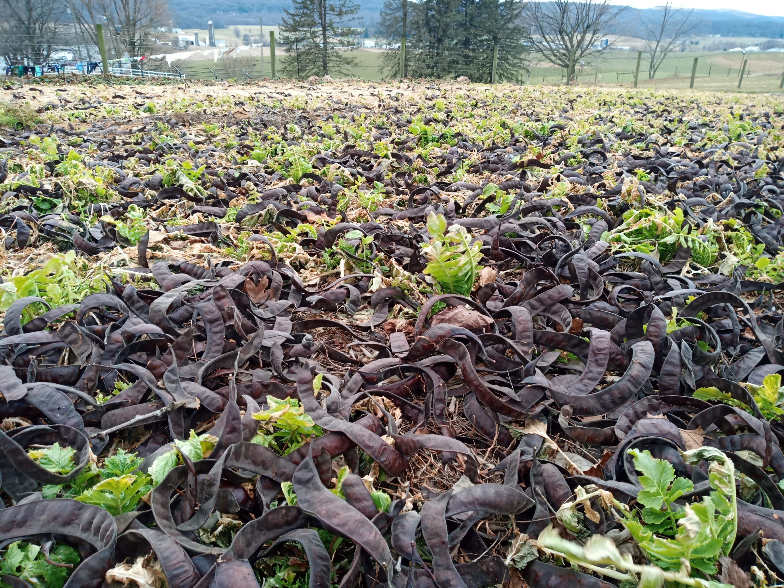 IMG_20210122_122936_8