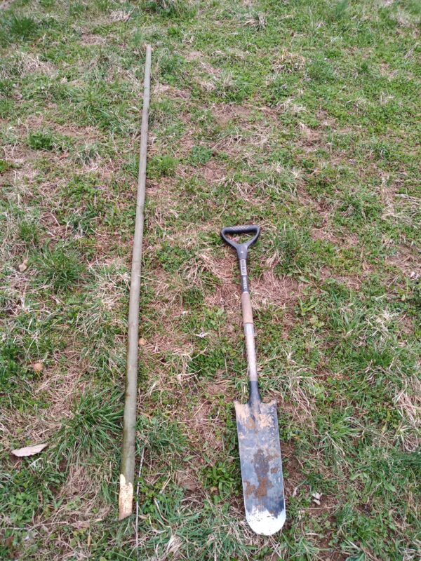 Austree Hybrid Willow 10' Pole (spring pickup) - Image 4