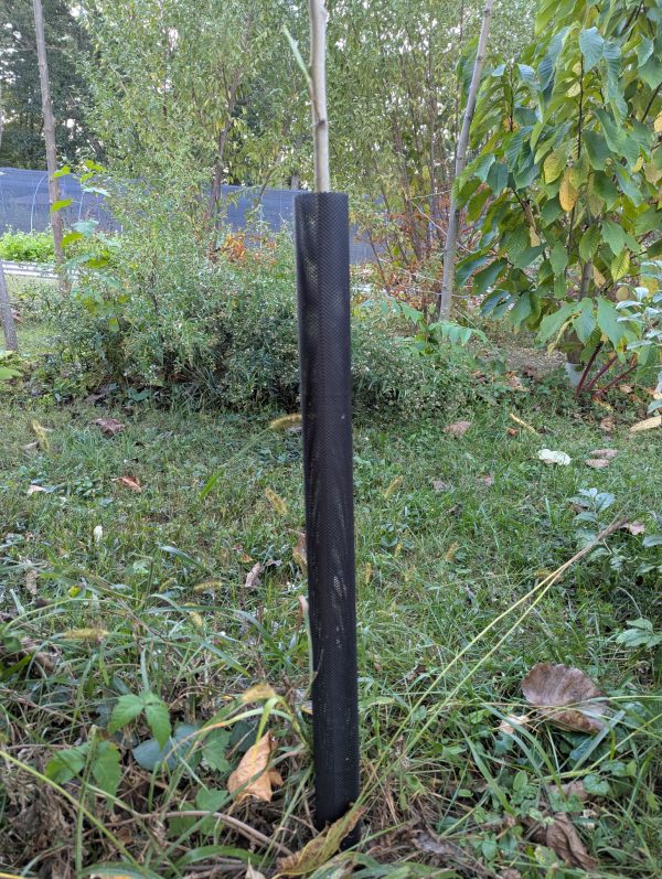 Tree Wraps / Vole Guards