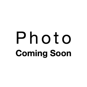 Grafted Apple — King David (spring delivery)