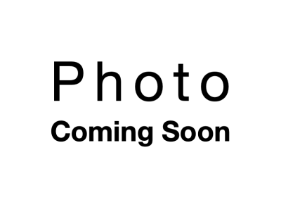 Chinese Chestnut (fall delivery)